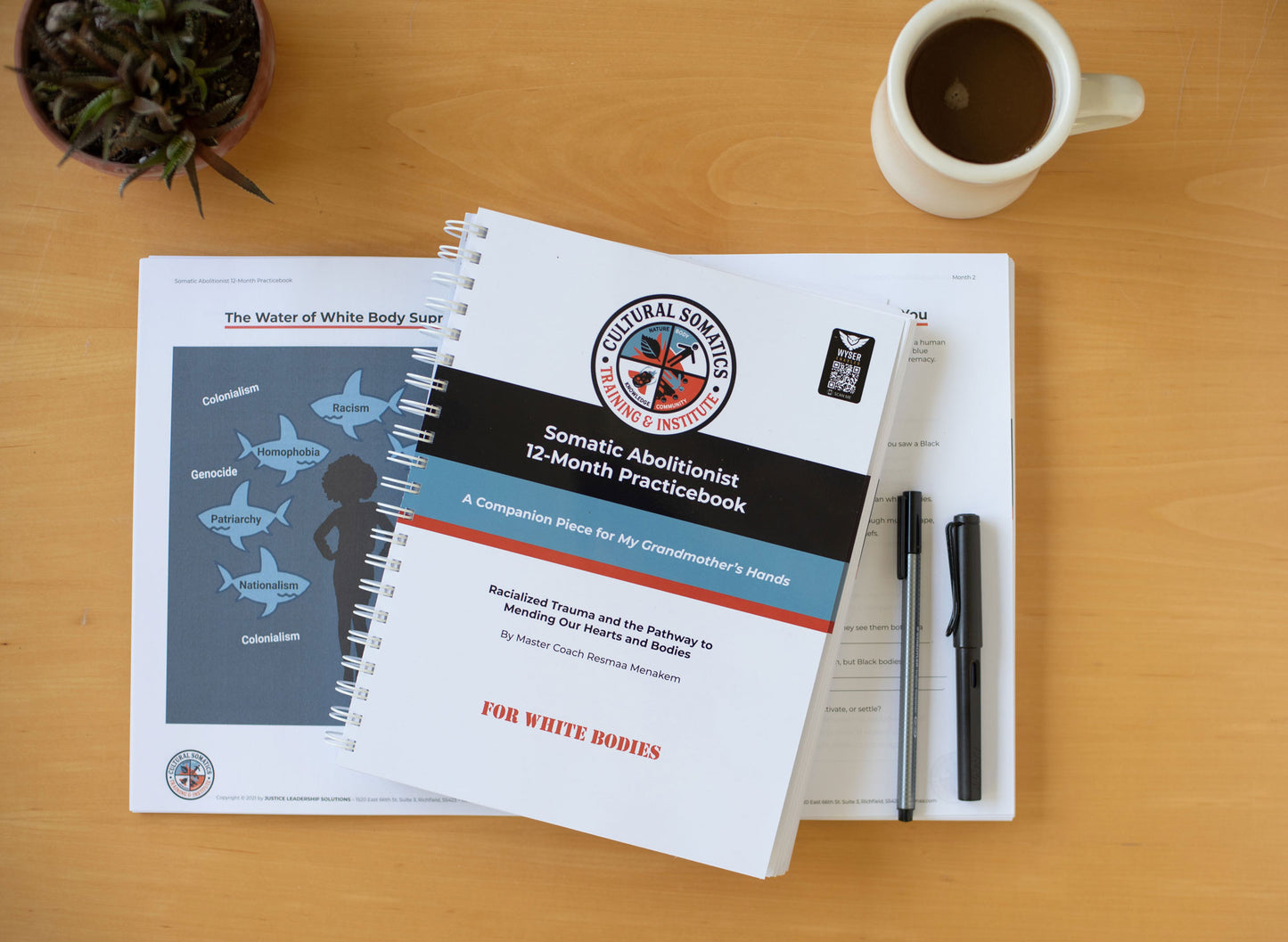 Somatic Abolitionist 12-Month Practicebook - Bundle of 3