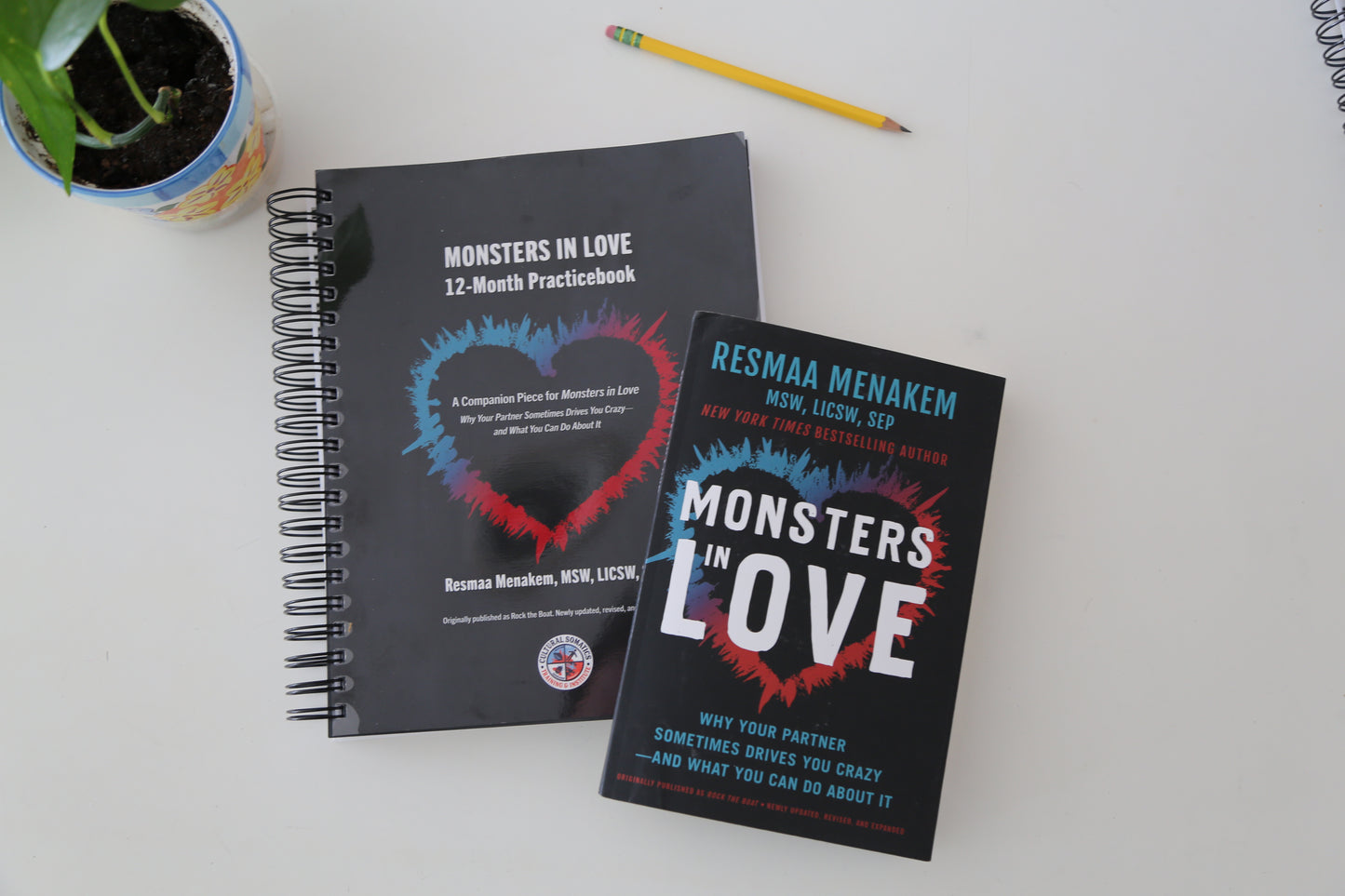 Monsters in Love Book PLUS Practicebook COMBO - bundle of 2